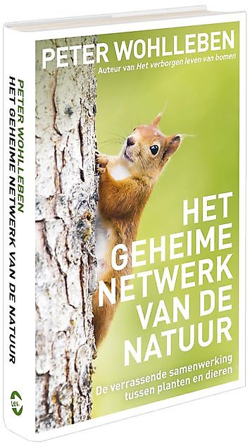 Pinta Grafische Producties Middelburg